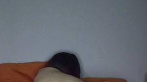 Community Creator
 @SofiCrush @Teasing & #Naked #18+ Teen #Brunette #Big Ass sex hd film | Tik.Porn