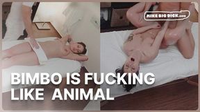Brunette bimbo rides cock like a slutty mess