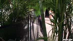 Mofos - Sexy Blonde Jewel Jensen Caught Levi Cash S'pying with a Camera &amp; Drags Him Inside to Ride His Cock
