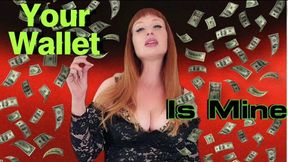 Your Wallet Is Mine WMV SD
