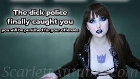 The dick police finally caught you - WMV HD 1080p