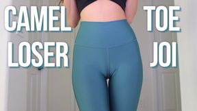 Camel Toe Worship for Losers