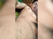 Chacal mexicano tatuado se hace paja caliente VIVA México !