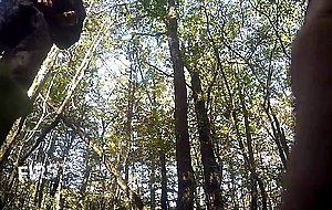 swallow in the wood