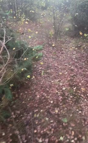 Clothes left in car.  an hour naked walk from car and back in woods barefoot