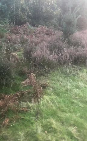 Clothes left in car.  an hour naked walk from car and back in woods barefoot