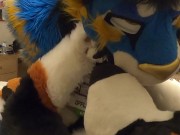 good kitty fucks the cum out of the bad dog then cums hands free