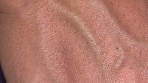 Veins Exposed: Side Two