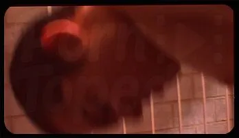 Gay Prison Sex: Young Latino David Contreras Gets Hard-Cored New this week