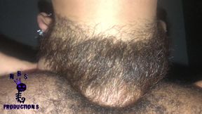 Black Breeders 66