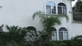 The Escalating Fire of Desire Exposed