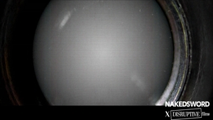 Disruptive Films: Billionaire's Game, Unbridled Sex