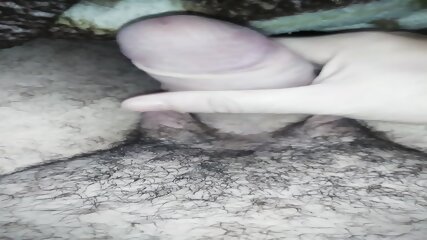 Pula mea
