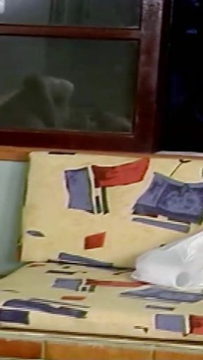 Big Tit Skinny Tranny Gets Her First Anal Fuck From Naughty Neighbors