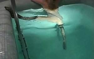 -05 wetlook contortion