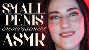 Small Penis Encouragement ASMR