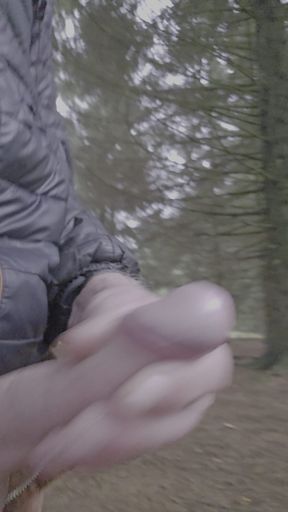 In the woods