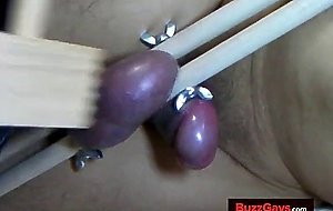 Testicle   Cumshot very painful ballbusting
