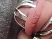 New Cage Keeps My Balls Tight and My Cock Dripping. How Many Days Would You Keep Me In This Cage?