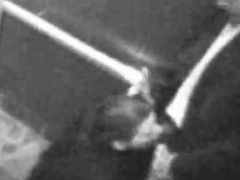 Couple gets kinky in the elevator