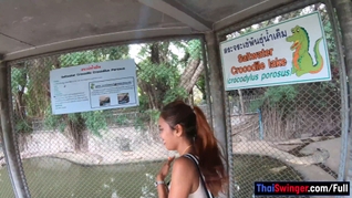 Crocodiles munching and making his amateur Thai GF cum hard