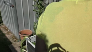 Kiwi trashy MILF pisses in the garden to make the vegetables taste even better