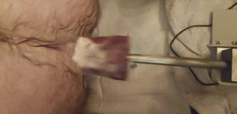 Hairy Bear Fuck Machine