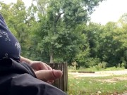 Hairy bearded ginger, playing with dick out in public!