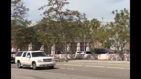 Hardcore Love All Night