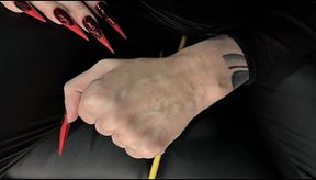 The veins on my hands