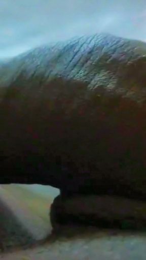 Desi ka gay  papa la chota beta ka pasand budh   Clip 1