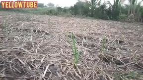 Indian outdoor beautiful outdoor fun and musti kama sutra