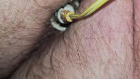 Estim anal bipolar plug working hard