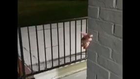 hotel freak public blow job swallow