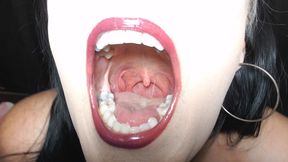 Super Mouth Tour Everything