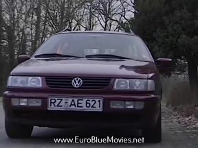 Couples in private - that's how the Germans drive it in private (1998)