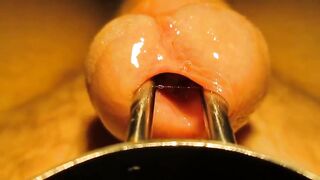 Hairy twink masturbates with toys and cums hard with urethral sounding & stretching