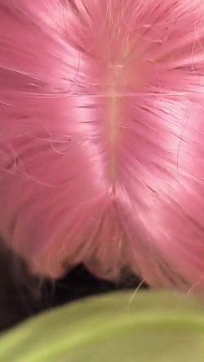 Hot Trans Honey Gives Ultimate Throat-fucking Thrill