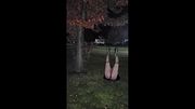 Raven's Magic is Jinxed Humiliating Wedgie