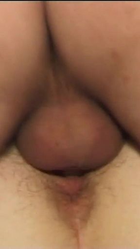 Girls Always in Heat (full Porn Movie)