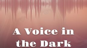 A Voice in the Dark