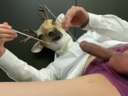 The deer slave employee was instructed to cum while blaming the urethra and balls in the office.