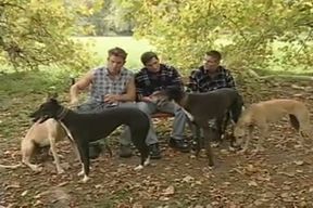 superlatively valuable Of GV