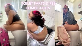 Real Daily Toilet Farts & Pee Compilation Personal Bathroom Moments